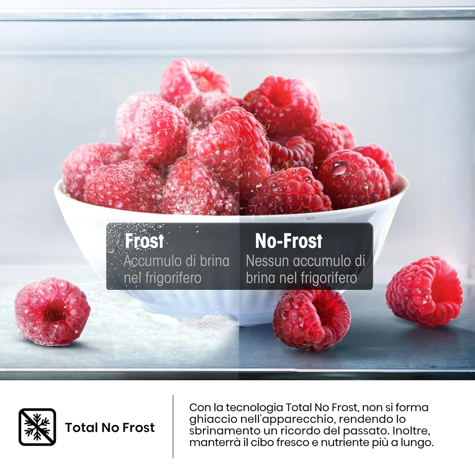 Hisense Congelatore FV245N4AW2 Freezer Verticale, Total No Frost, 194 L, Bianco, Porte reversibili
