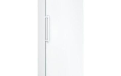 Recensione Bosch GSN33VWEP Serie 4 Congelatore Verticale: Test Completo e Opinioni 2026