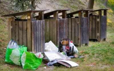 Smaltimento Elettrodomestici RAEE: Guida Completa al Ritiro Gratuito 2024