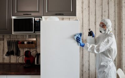 Come Decalcificare gli Elettrodomestici: Guida Completa 2026