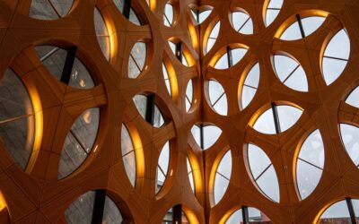 Come Pulire il Frigorifero: Guida Completa e Frequenza Ideale per una Pulizia Perfetta