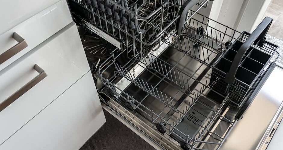lavastoviglie elettrodomestico cucina